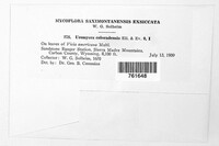 Image Associated With the Occurence